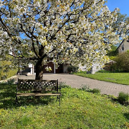 Ferienwohnung Am Kirschbaum Uhldingen-Mühlhofen Esterno foto
