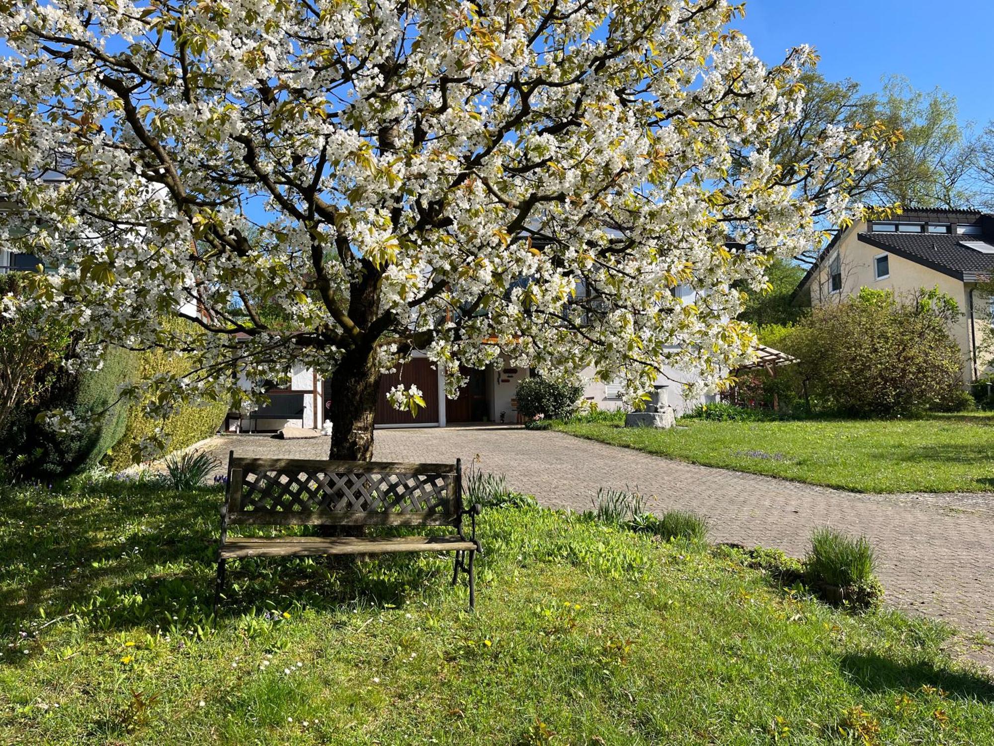 Ferienwohnung Am Kirschbaum Uhldingen-Mühlhofen Esterno foto